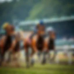 Thoroughbred racing horses in action