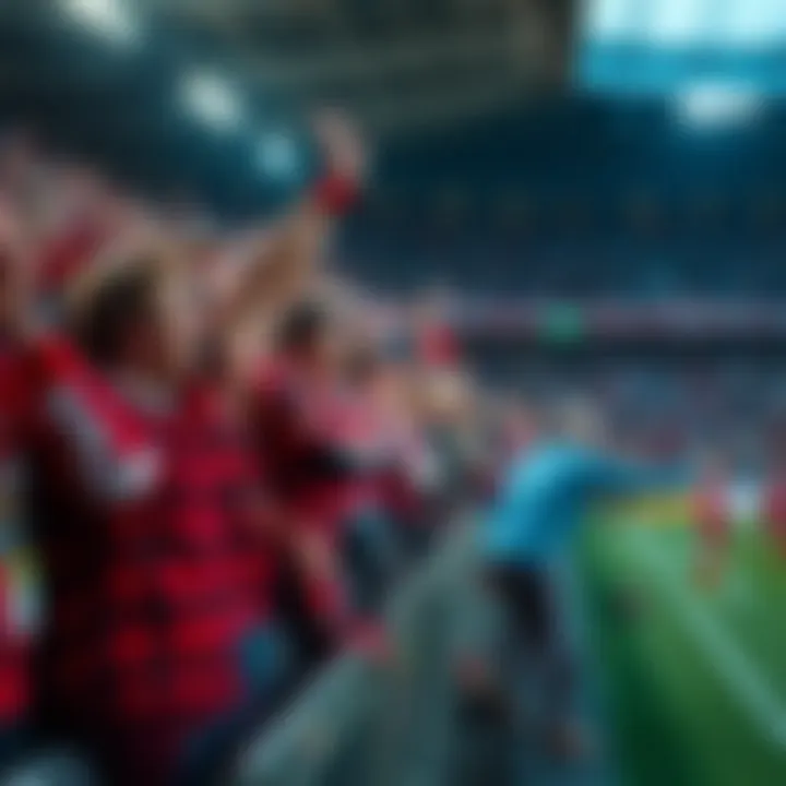 An overview of the passionate Chicago Fire fanbase in the stands