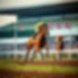 A racehorse in full gallop on a racetrack