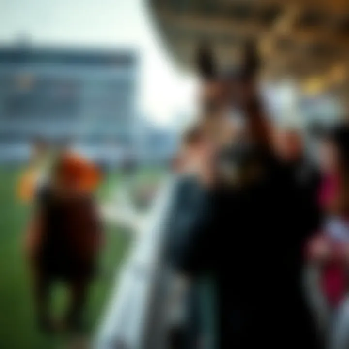 Thoroughbred horse racing event