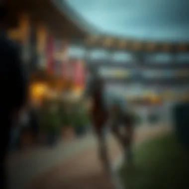 Historical evolution of betting strategies