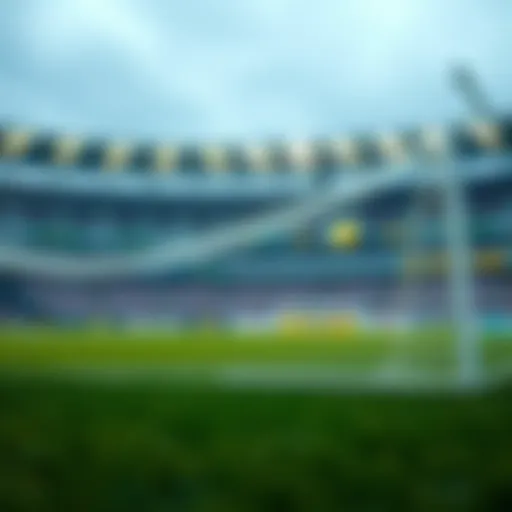 Visualization of decimal odds in betting